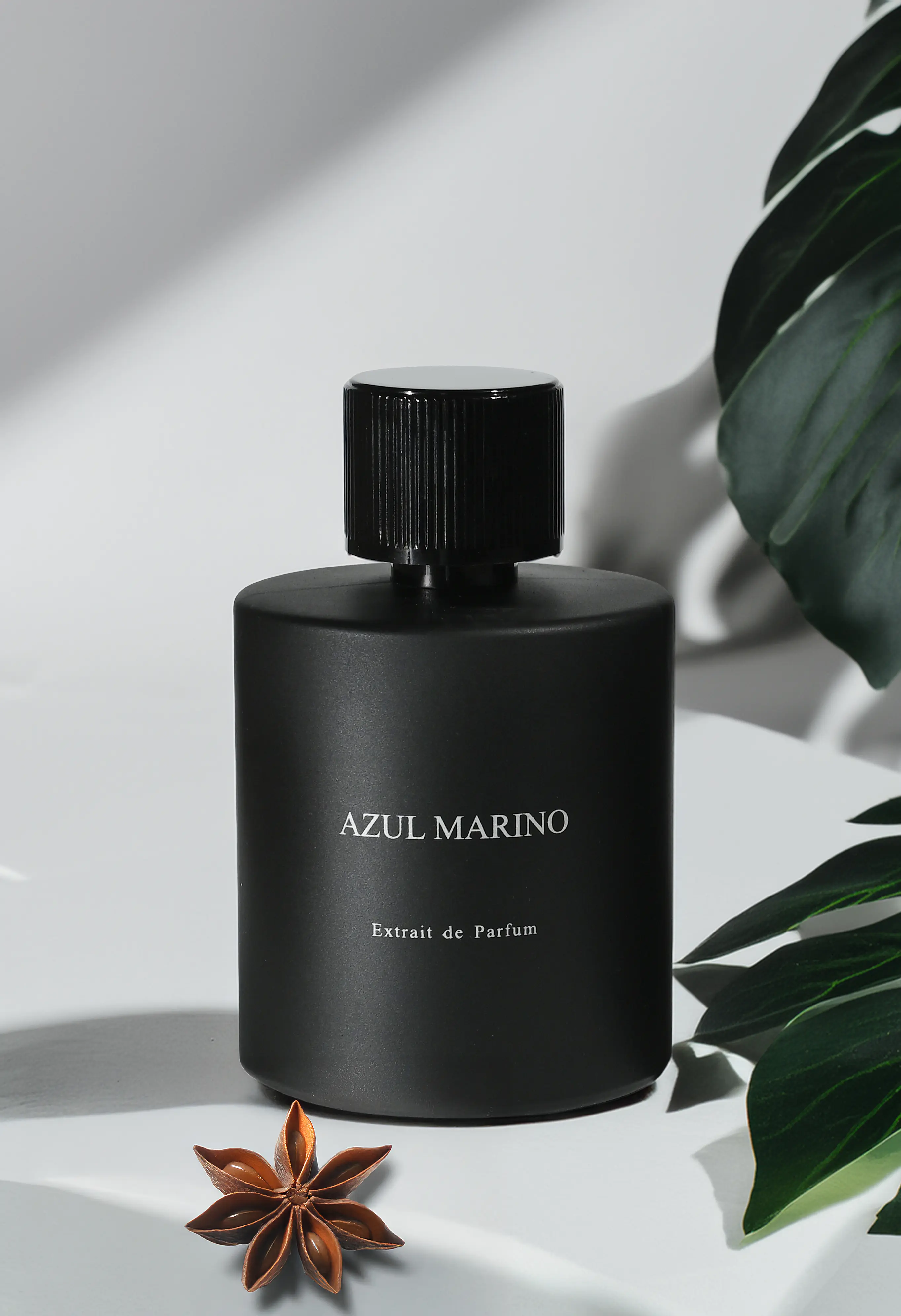 Balanco Parfüm Görseli